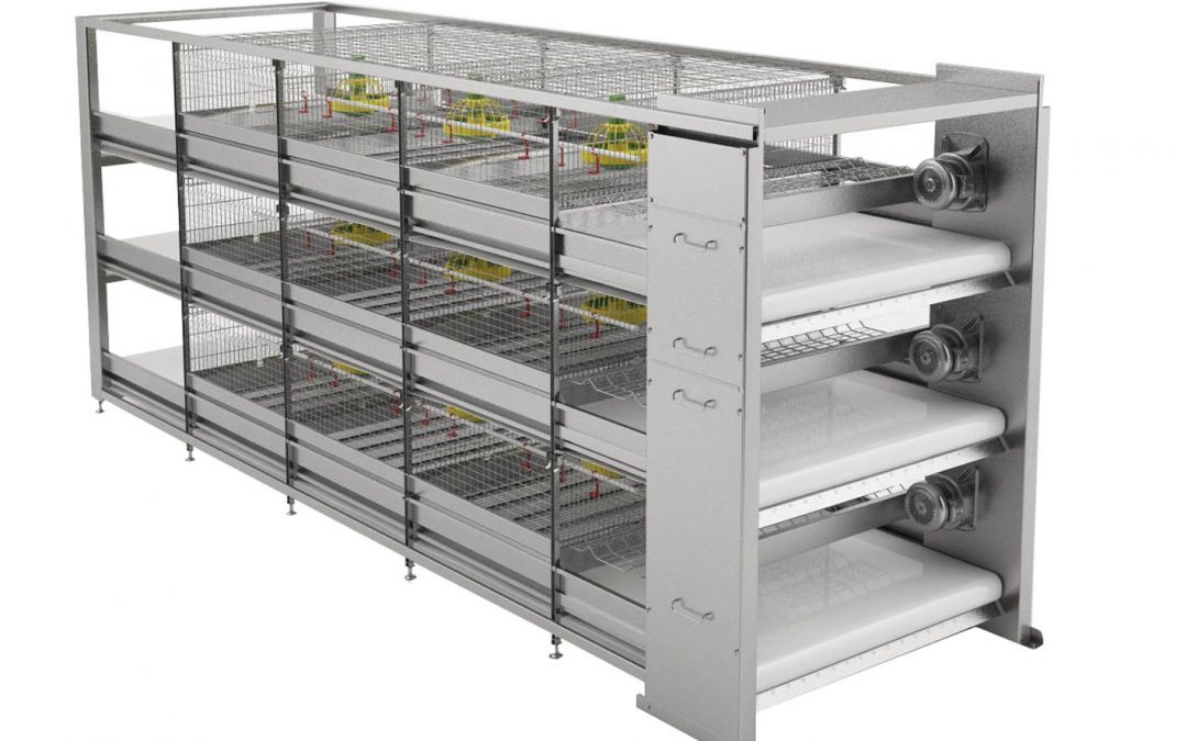 Poultry Cages